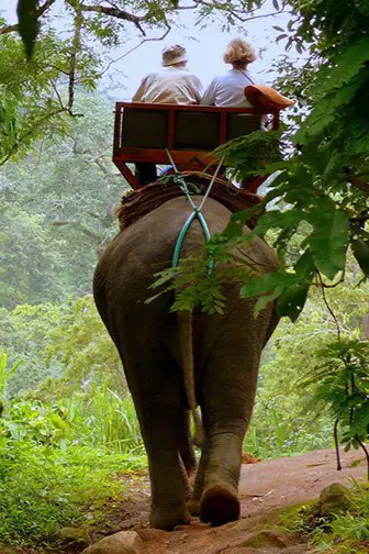 Elephant-riding