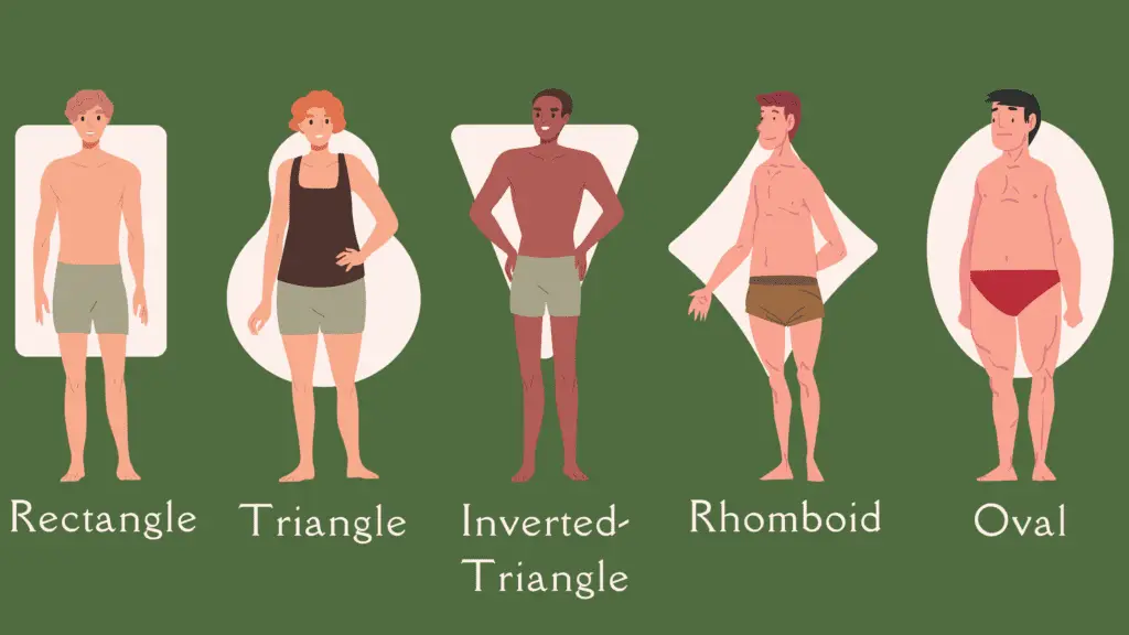 Men's body shapes