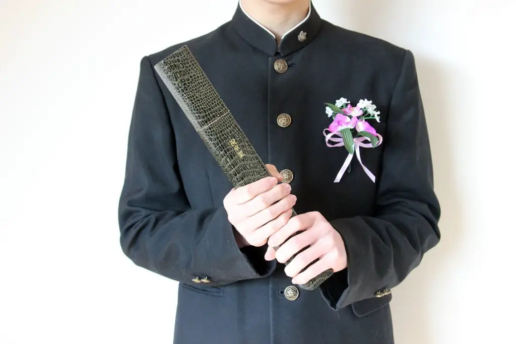 Japanese school uniforms for male student - Tsume-eri
