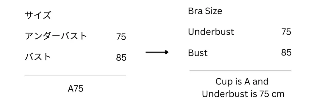Japan bra size tag translation