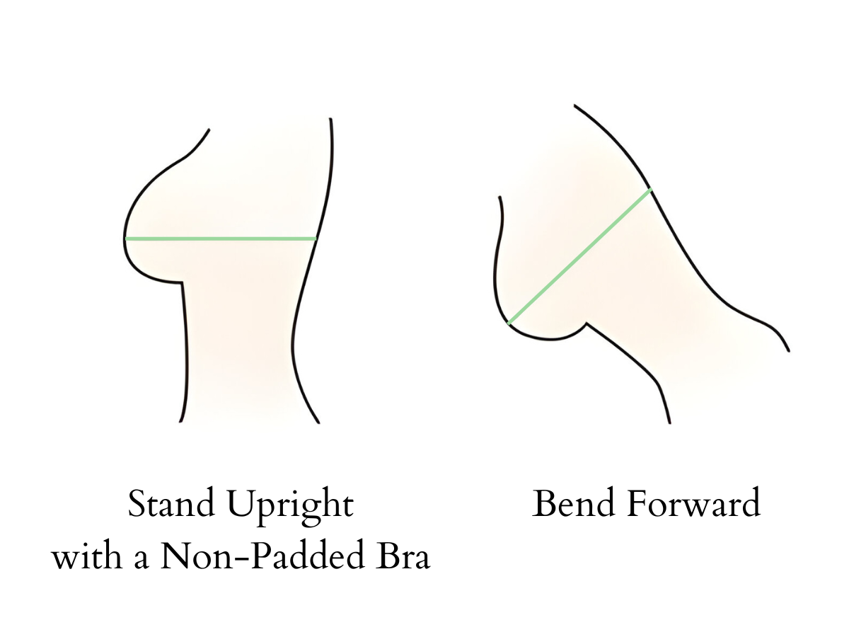 The postures to measure your bust for bra size selection